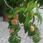 Apartmán Marketos