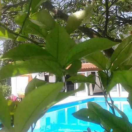 Marketos