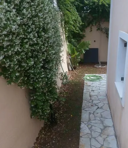 市场公寓 * 斯沃伦塔