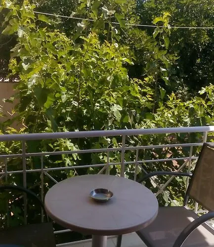 公寓 市场公寓 斯沃伦塔